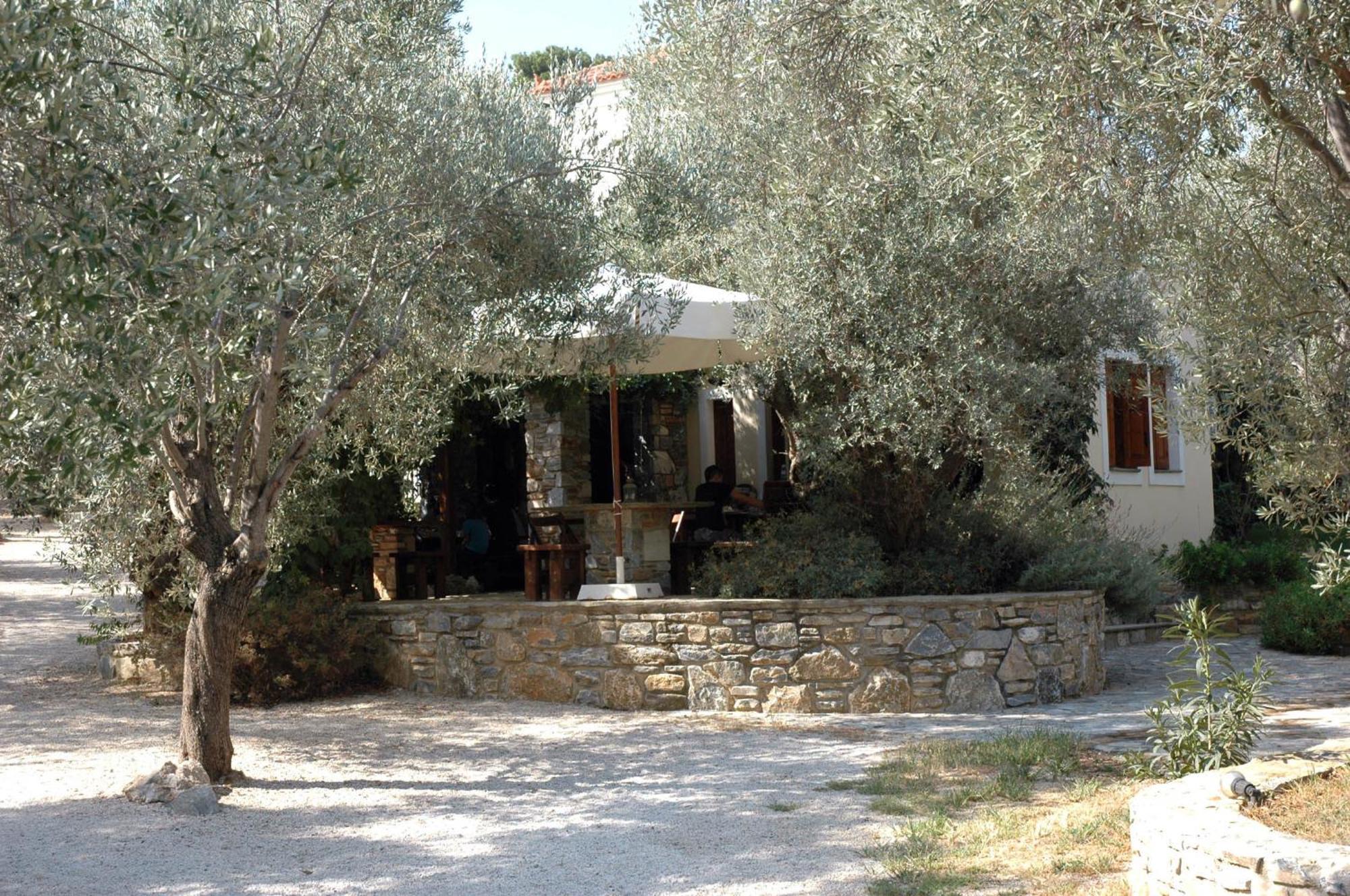 Gera'S Olive Grove - Elaionas Lesvou 호텔 Marmaro  외부 사진